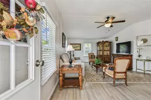 427 Pelican Dr S, Oldsmar, FL 34677 - Photo 7