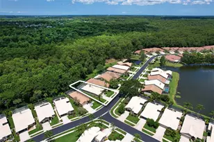 3704 Darston St, Palm Harbor, FL 34685 - Photo 39