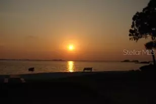 2700 Bayshore Blvd, Dunedin, FL 34698 - Photo 31