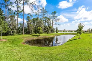 23176 Pachino Wy, Lutz, FL 33549 - Photo 29
