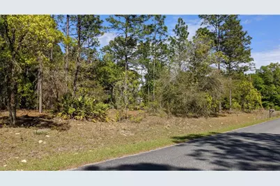 0 SW 97th Place, Dunnellon, FL 34432 - Photo 5
