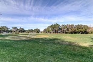 9481 Highland Oak Dr, Tampa, FL 33647 - Photo 49