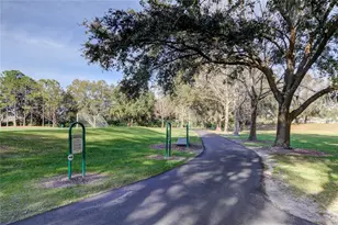 9481 Highland Oak Dr, Tampa, FL 33647 - Photo 47