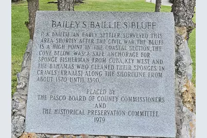 2210 Bayou Drive, Holiday, FL 34691 - Photo 49