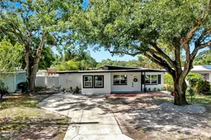 4112 W Lawn Ave, Tampa, FL 33611 - Photo 3