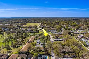 2567 Bentley Dr, Palm Harbor, FL 34684 - Photo 55