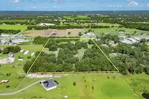 4312 James L Redman Pkwy, Plant City, FL 33567 - Photo 53