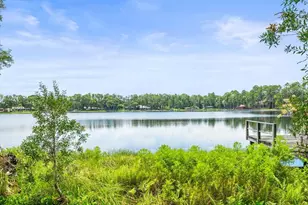 16035 Chastain Rd, Odessa, FL 33556 - Photo 3