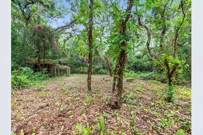 16035 Chastain Road, Odessa, FL 33556 - Photo 13