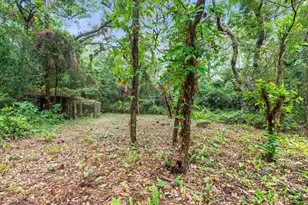 16035 Chastain Rd, Odessa, FL 33556 - Photo 13