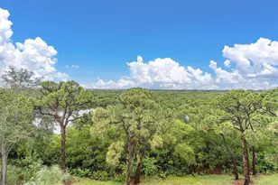 8198 Terrace Garden Dr, Saint Petersburg, FL 33709 - Photo 37
