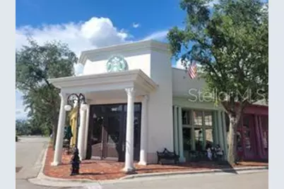 6207 Bleeker Street, Riverview, FL 33578 - Photo 45