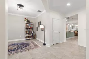 13352 Palmera Vista Dr, Riverview, FL 33579 - Photo 9