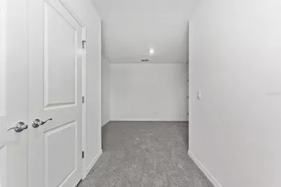 31336 Paper Birch Street, Wesley Chapel, FL 33545 - Photo 23