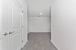 31336 Paper Birch St, Wesley Chapel, FL 33545 - Photo 23