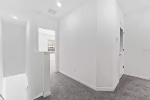 31336 Paper Birch St, Wesley Chapel, FL 33545 - Photo 17