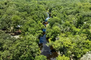 34147 Ringwalt Dr, Ridge Manor, FL 33523 - Photo 27