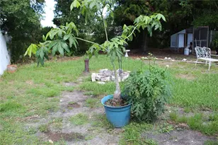 2058 Dodge St, Clearwater, FL 33760 - Photo 5