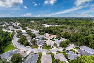 12200 Hunters Lake Dr, New Port Richey, FL 34654 - Photo 87