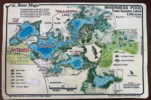 9936 E Perch Ct, Inverness, FL 34450 - Photo 29