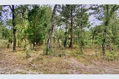 2842 W Leeward Place, Citrus Springs, FL 34433 - Photo 1