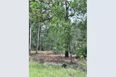 Scaup Duck Avenue, Weeki Wachee, FL 34614 - Photo 3