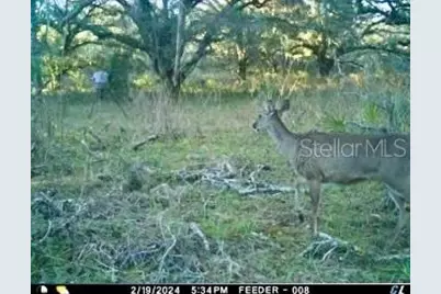 00 Unnamed, Spring Hill, FL 34610 - Photo 27