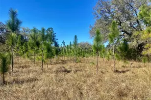 00 Unnamed, Spring Hill, FL 34610 - Photo 1