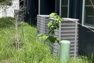 1935 Oxnard Ct, Tampa, FL 33612 - Photo 21