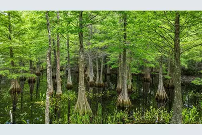 25435 Bruford Boulevard, Land O Lakes, FL 34639 - Photo 57