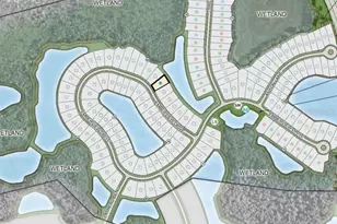 35154 Emberview Dr, Zephyrhills, FL 33541 - Photo 15