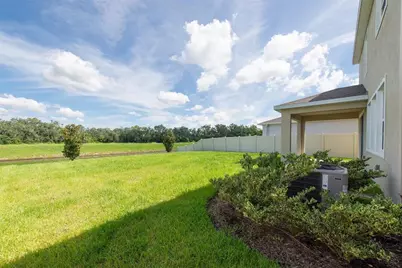16972 Oval Rum Drive, Wimauma, FL 33598 - Photo 43