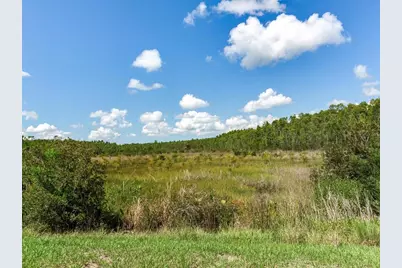 6057 Marsh Trail Drive, Odessa, FL 33556 - Photo 67