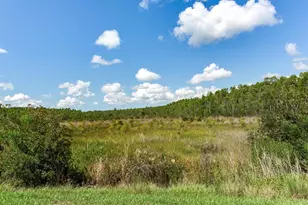 6057 Marsh Trail Dr, Odessa, FL 33556 - Photo 67