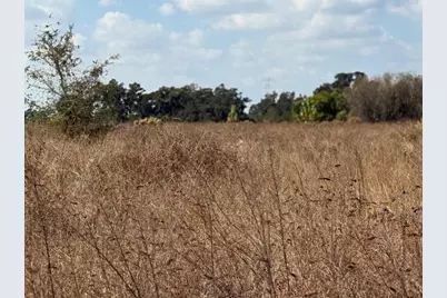 12828 Fort King Highway, Thonotosassa, FL 33592 - Photo 3