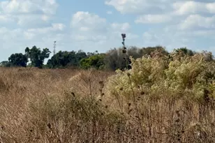 12828 Fort King Hwy, Thonotosassa, FL 33592 - Photo 1