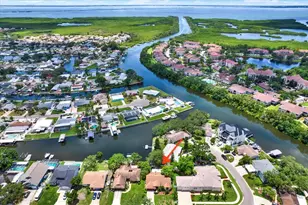 10732 Drummond Rd, Tampa, FL 33615 - Photo 9