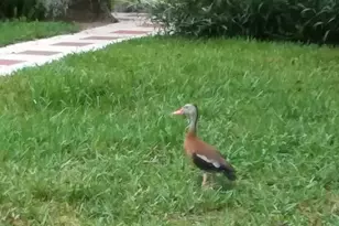 21451 US Hwy 98, Dade City, FL 33523 - Photo 41