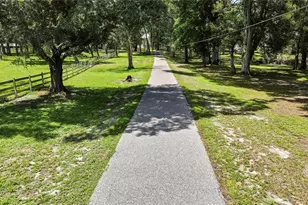 21451 US Hwy 98, Dade City, FL 33523 - Photo 5