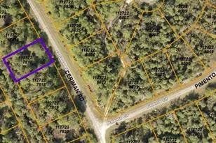 Ceriman Rd, North Port, FL 34288 - Photo 1