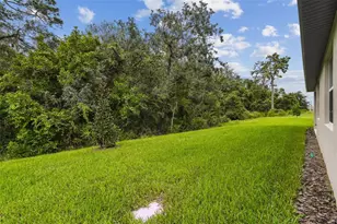 11303 Striped Bass Ct, New Port Richey, FL 34654 - Photo 71