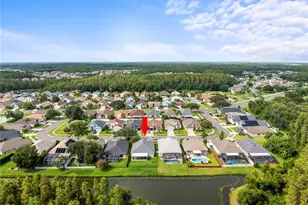 30638 Nickerson Loop, Wesley Chapel, FL 33543 - Photo 3