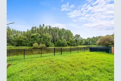 30638 Nickerson Loop, Wesley Chapel, FL 33543 - Photo 31