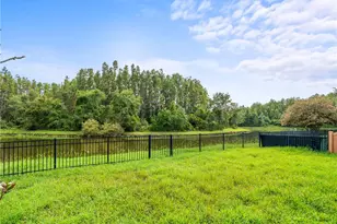 30638 Nickerson Loop, Wesley Chapel, FL 33543 - Photo 31