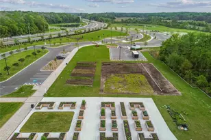 17516 Nectar Flume Dr, Land O Lakes, FL 34638 - Photo 67