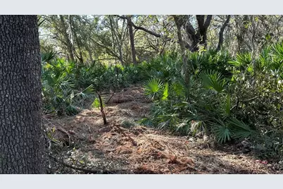 1676 Hermosa Drive, Palm Harbor, FL 34683 - Photo 23