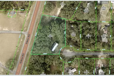 3310 Treiman Boulevard, Dade City, FL 33523 - Photo 9