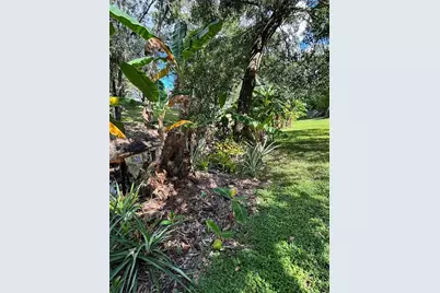 2309 Woodbend Circle, New Port Richey, FL 34655 - Photo 85