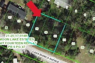 12905 Casa Bianca Ave, New Port Richey, FL 34654 - Photo 1