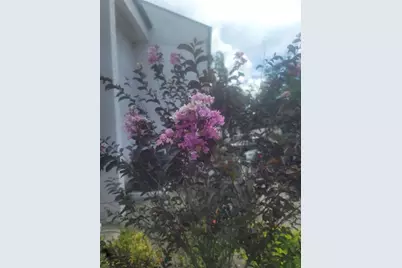 5125 Puritan Circle #1103, Tampa, FL 33617 - Photo 3